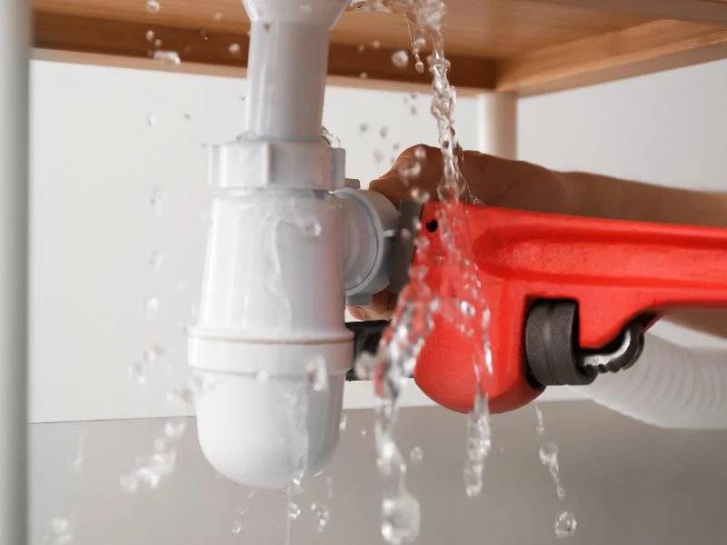 Professional Kitchen Renovations Durban: Where Quality Craftsmanship Meets Beautiful Design